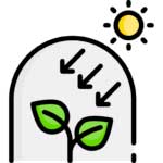 greenhouse